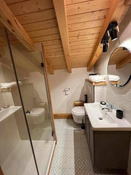 Appart Duplex Chalet Plein Sud Feissons-sur-Salins Екстериор снимка
